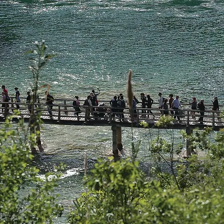 Amazing In With View *