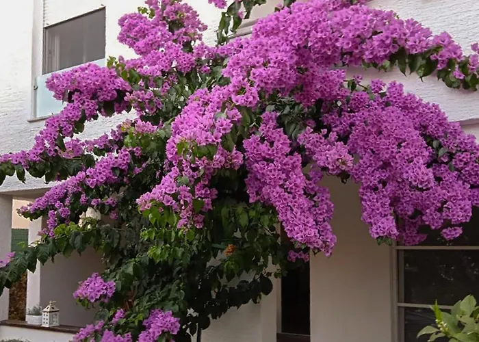 Appartement Amazing In With View Pirovac