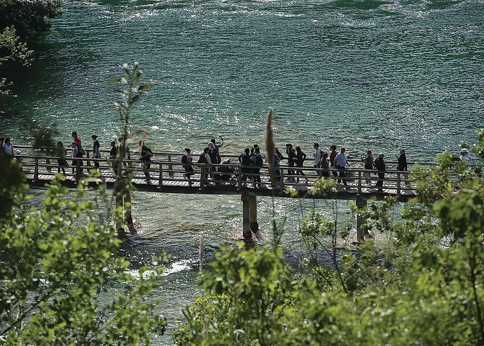 Amazing In With View *